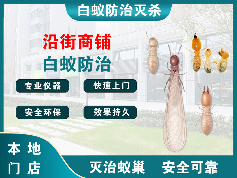 姜堰区沿街商铺白蚁防治