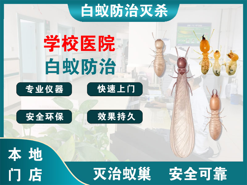 姜堰区学校医院白蚁防治
