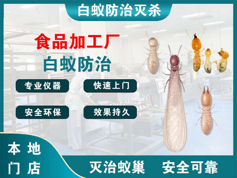 姜堰区食品加工厂白蚁防治