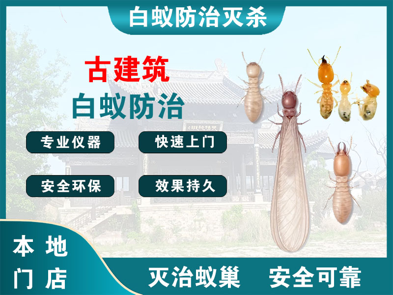 姜堰区古建筑白蚁防治