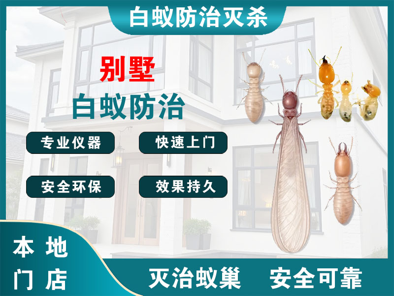 姜堰区别墅白蚁防治